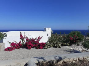 Panoramic house